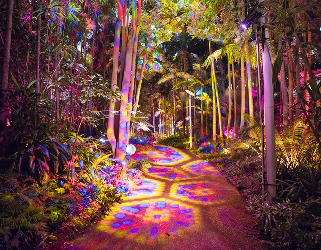 Lit up trees and path at The Enchanted Garden