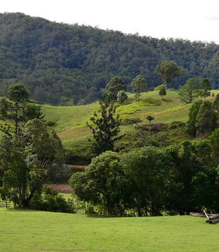 Countryside on the outskirts of Dayboro