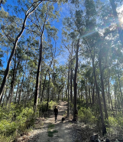 Moggill reserve Path