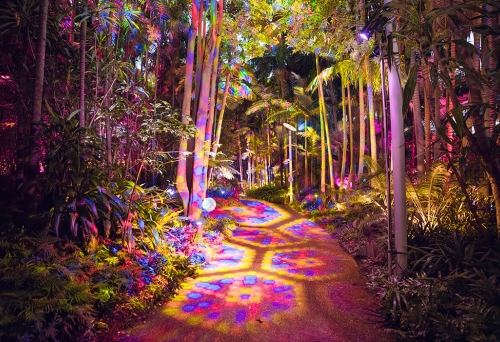 Lit up trees and path at The Enchanted Garden