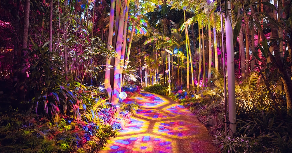 Lit up trees and path at The Enchanted Garden